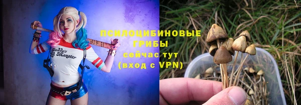 ECSTASY Абинск