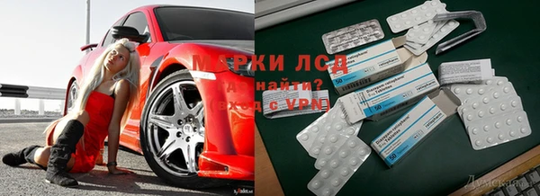 гидропоника Покровск